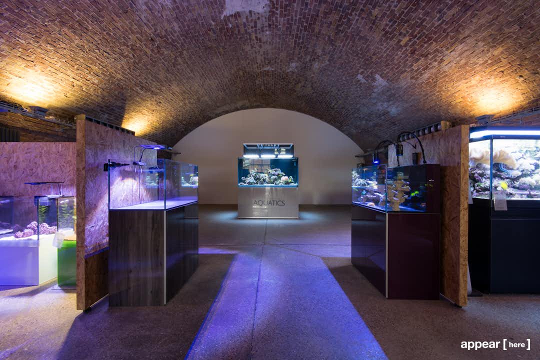 330-331 Stean Street - aquarium venue interior
